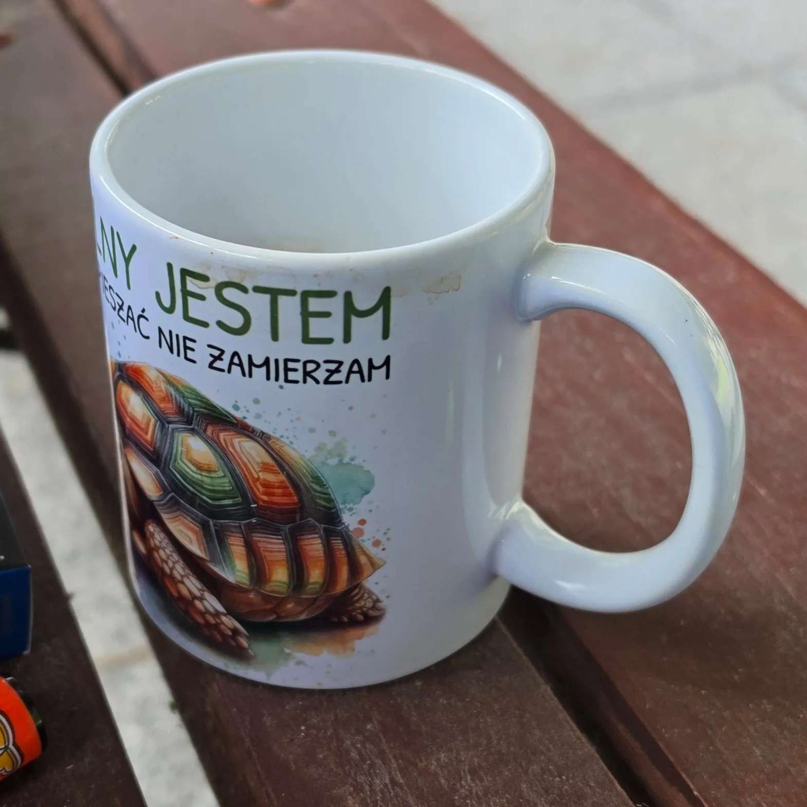 Intensywnie zielony – Acanthosaura armata