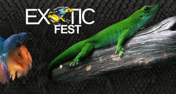 Exotic Fest — 13.12.2026